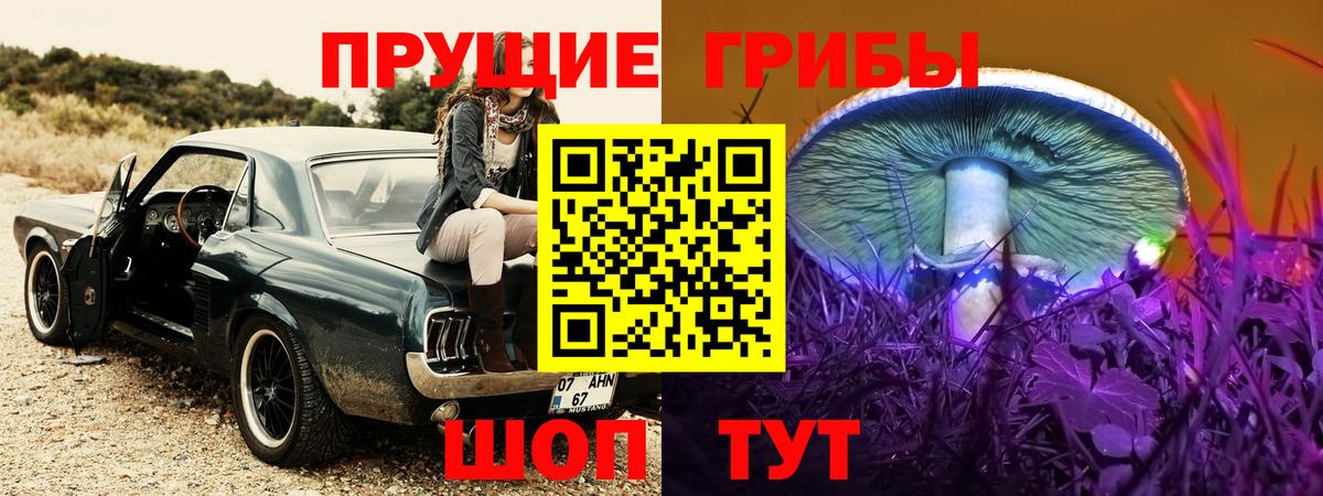 где купить наркоту  Псилоцибиновые грибы Psilocybine cubensis  Вход с VPN  Гудермес 